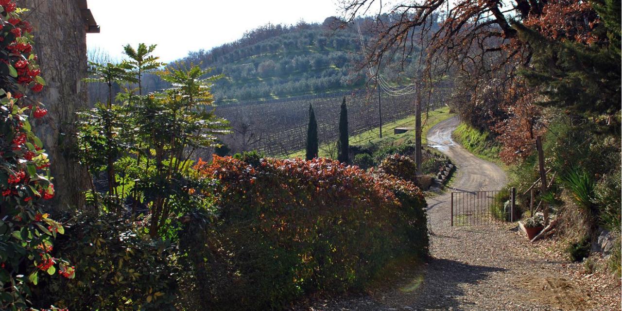 Molino Di Bombi Villa Castellina in Chianti Ngoại thất bức ảnh